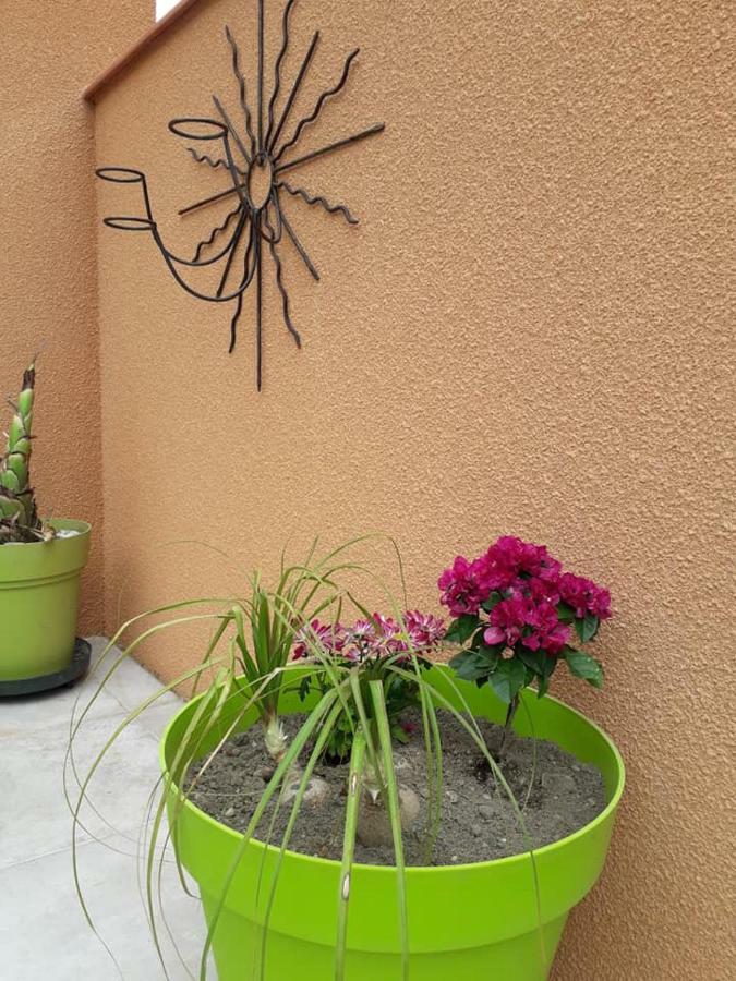 Lili Villa Céret Exterior photo